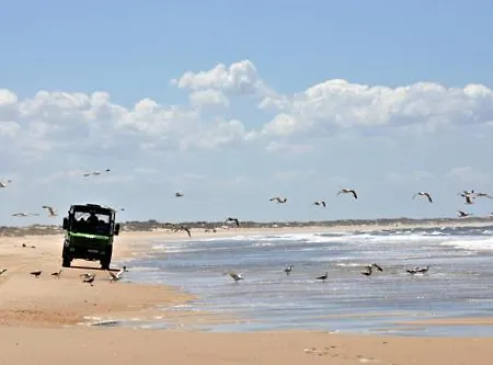 Doñana 51