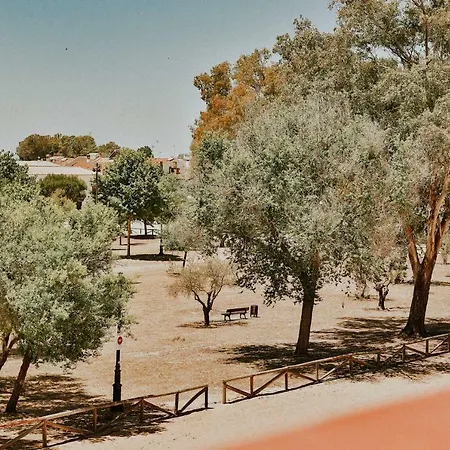 Doñana 51 *